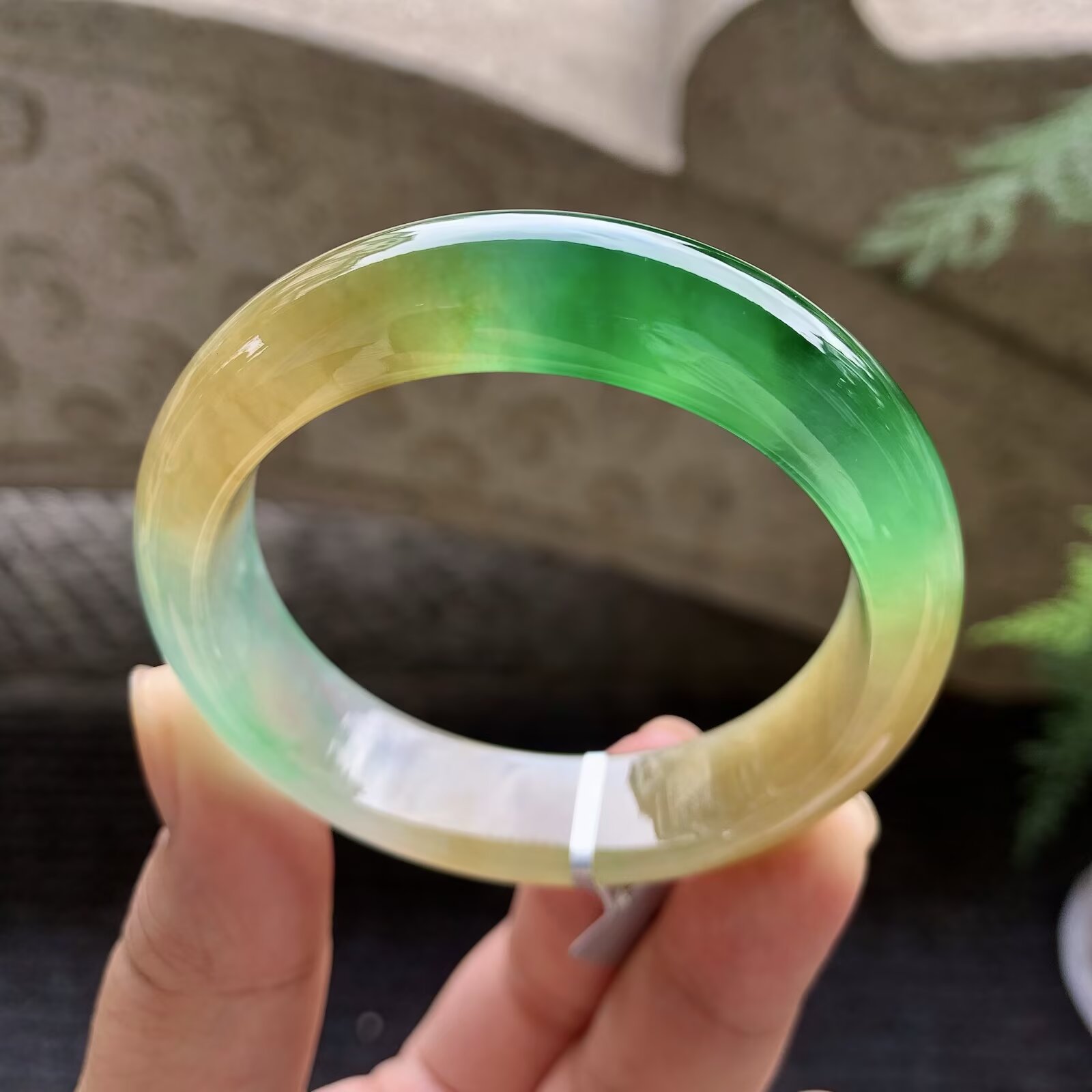 高冰种黄加绿翡翠平安镯（51.9mm）商品编号：TF06181001